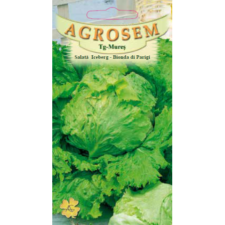 Seminte de Salata Iceberg - Bionda di Parigi - AS - Lactuca sativa