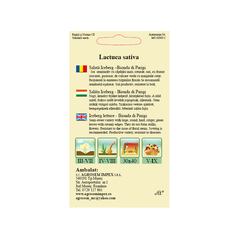 Seminte de Salata Iceberg - Bionda di Parigi - AS - Lactuca sativa
