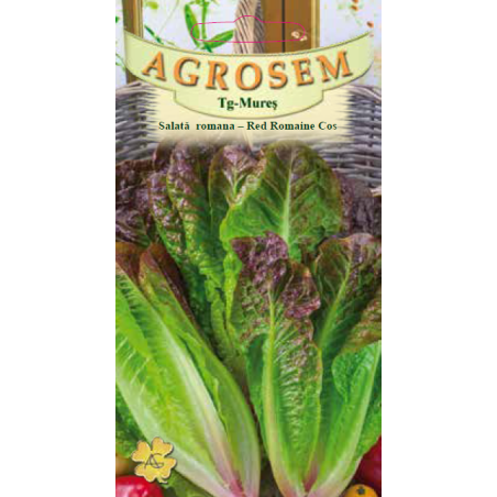 Seminte de Salata romana - Red Romaine Cos - AS - Lactuca sativa