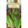 Seminte de Salata romana - Red Romaine Cos - AS - Lactuca sativa