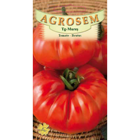 Seminte de Tomate Brutus - AS - Lycopersicon esculentum