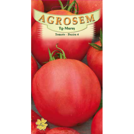 Seminte de Tomate Buzau 4 - AS - Lycopersicon esculentum