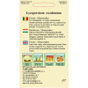 Seminte de Tomate Moneymaker - AS - Lycopersicon esculentum