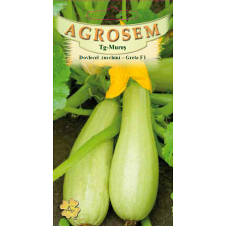 Seminte de Dovlecel Zucchini Greta F1 - AS - Cucurbita pepo 