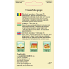 Seminte de Dovlecel Zucchini Greyzini F1 - AS - Cucurbita pepo