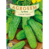 Seminte de Castraveti cornichon Krak F1 - AS - Cucumis sativus