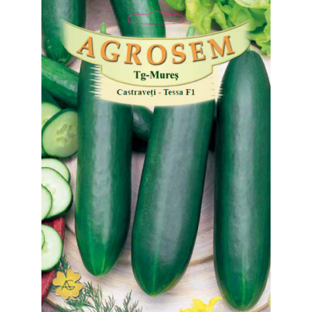 Seminte de Castraveti cornichon Tessa F1 - AS - Cucumis sativus