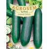 Seminte de Castraveti cornichon Tessa F1 - AS - Cucumis sativus