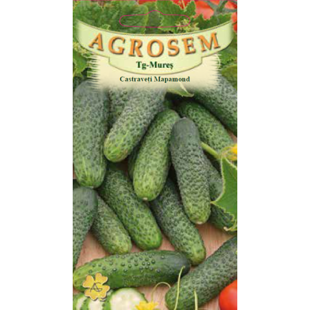 Seminte de Castraveti cornichon Mapamond - AS - Cucumis sativus 