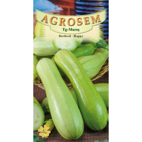 Seminte de Dovlecel Happy - AS - Cucurbita pepo var. giromontia