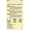Seminte de Dovlecel Happy - AS - Cucurbita pepo var. giromontia