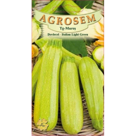 Dovlecel seminte - Cucurbita pepo var. giromontia Italian Light Green