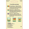 Dovlecel placintar seminte - Waltham Butternut