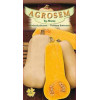 Dovlecel placintar seminte - Waltham Butternut