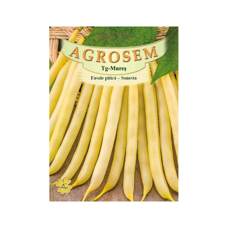 Seminte de Fasole pitica galbena Sonesta 50g - BigPack - AS - Phaseolus vulgaris var. nanus