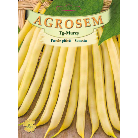 Seminte de Fasole pitica galbena Sonesta 50g - BigPack - AS - Phaseolus vulgaris var. nanus