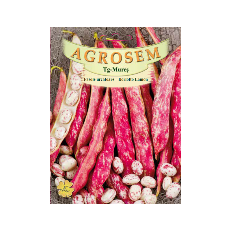 Seminte de Fasole urcatoare Borlotto Lamon - BigPack - AS - Phaseolus vulgaris var. vulgaris