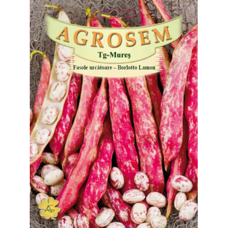 Seminte de Fasole urcatoare Borlotto Lamon - BigPack - AS - Phaseolus vulgaris var. vulgaris