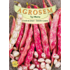 Seminte de Fasole urcatoare Borlotto Lamon - BigPack - AS - Phaseolus vulgaris var. vulgaris