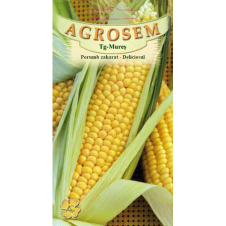 Seminte de Porumb zaharat Deliciosul - AS - Zea mays convar. sacharata
