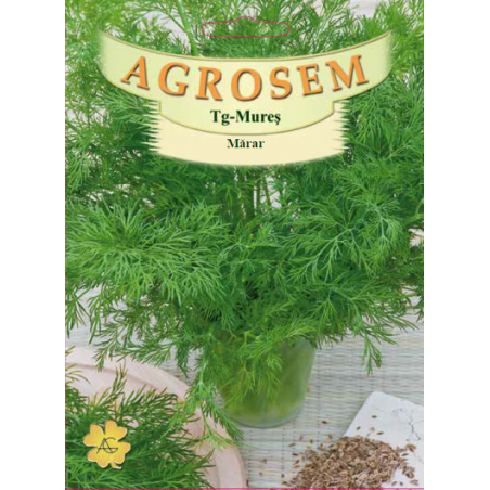 Seminte de Marar - 100g - AS - Anethum graveolens
