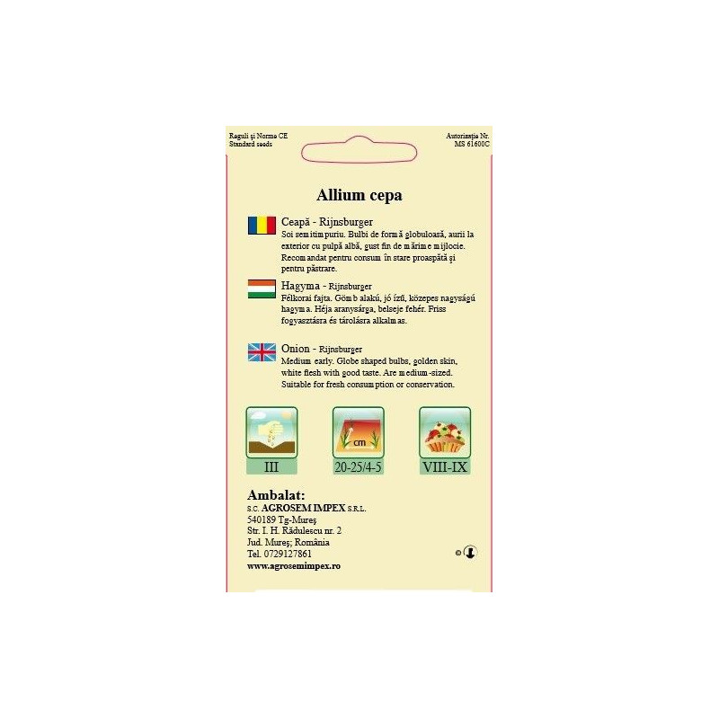 Ceapa seminte - Allium cepa Rijnsburger