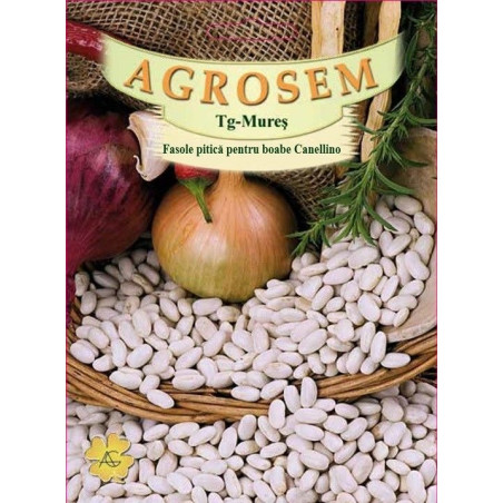 Fasole pitica pentru boabe seminte BigPack - Canellino