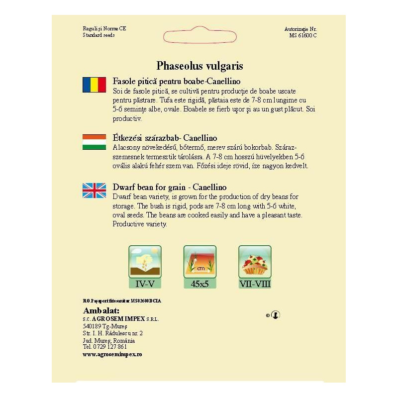 Fasole pitica pentru boabe seminte BigPack - Canellino