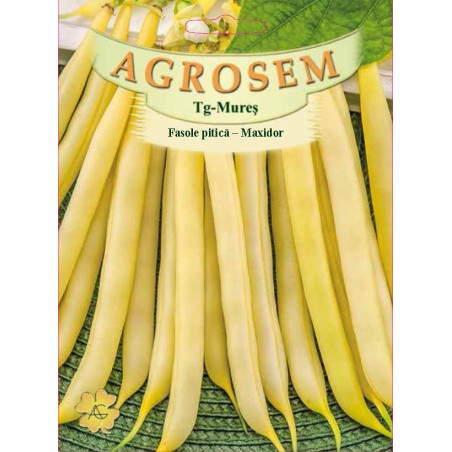 Fasole pitica galbena Maxidor seminte BigPack - AS - 100g