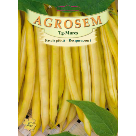 Seminte de Fasole pitica galbena Rocquencourt 50g - BigPack - AS - Phaseolus vulgaris var. nanus