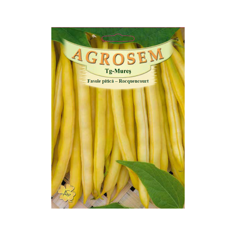 Seminte de Fasole pitica galbena Roquencourt