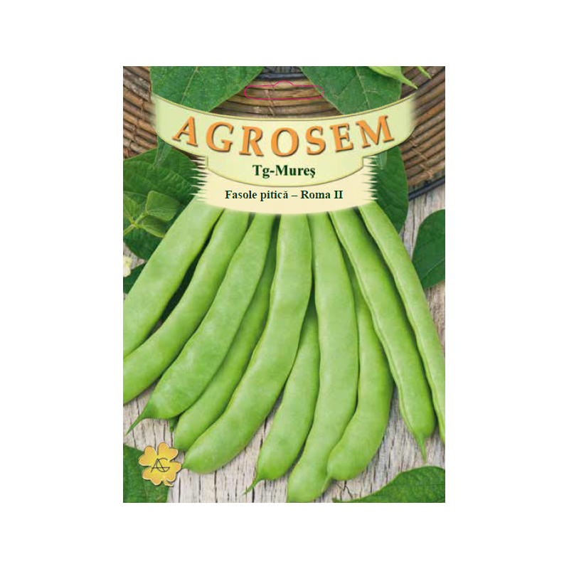 Seminte de Fasole pitica Roma II - BigPack - AS - Phaseolus vulgaris var. nanus 