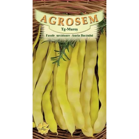 Fasole urcatoare seminte - Auria Bacaului 15g