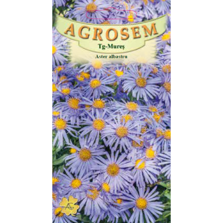 Seminte de Aster albastru - AS - Aster amellus