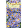 Seminte de Aster albastru - AS - Aster amellus