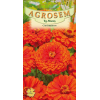 Seminte de Carciumarese mari portocalii - AS - Zinnia elegans