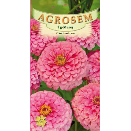 Seminte de Carciumarese mari roz - AS - Zinnia elegans