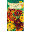 Seminte de Carciumarese Mexicane - AS - Zinnia haageana