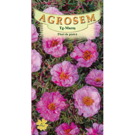 Seminte de Flori de piatra duble Rose - AS - Portulaca grandiflora