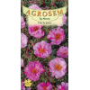 Seminte de Flori de piatra duble Rose - AS - Portulaca grandiflora