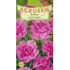 Seminte de Garoafe Chabaud Pink - AS - Dianthus caryophyllus 