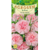Seminte de Garoafe Chabaud Rose - AS - Dianthus caryophyllus 