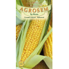 Seminte de Porumb zaharat Deliciosul - AS - Zea mays convar. sacharata