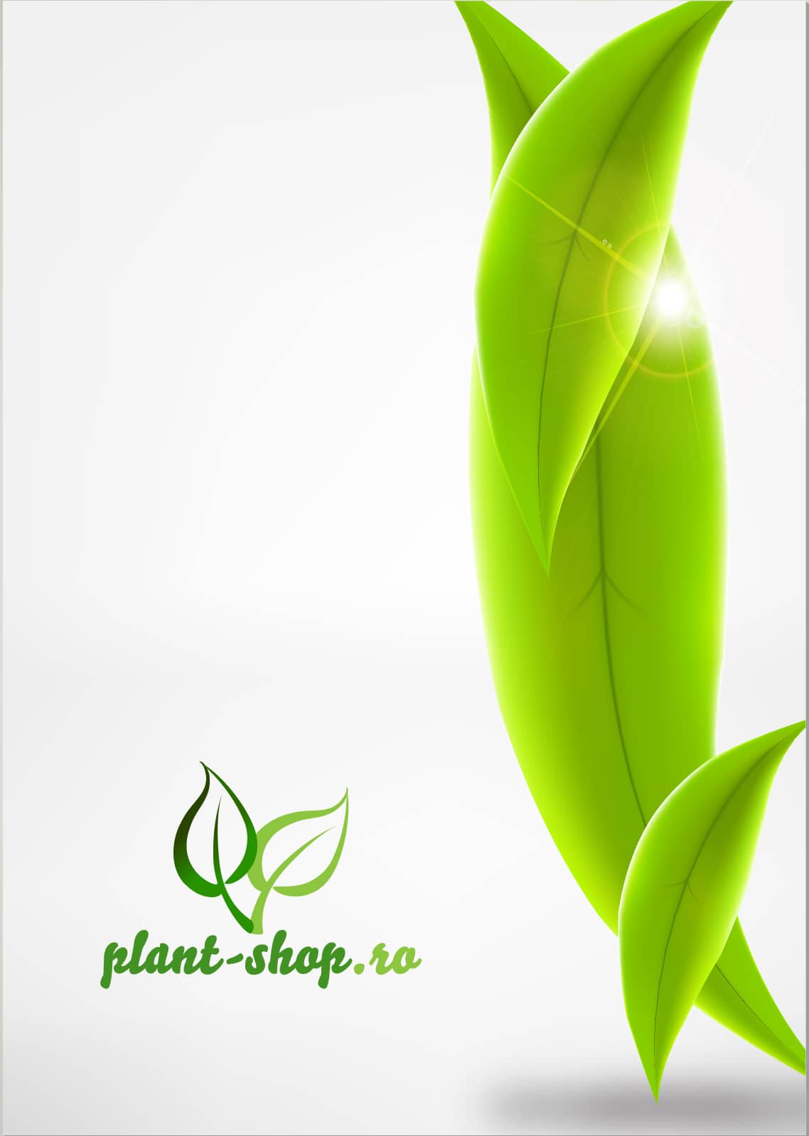catalog plant-shop.ro